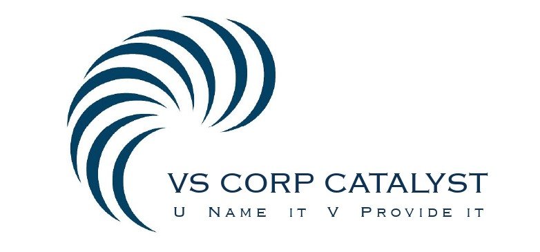 VS CORP CATALYST Logo